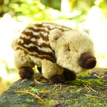 Plyšový koloušek 23 cm