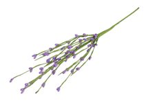 Umělá větvička s pupeny na drátku tvarovatelná