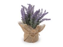 Umělá levandule v jutovém obalu