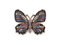 Brož s broušenými kamínky motýl