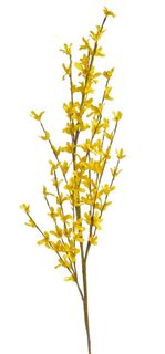 Zlatý déšť 100 cm