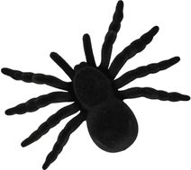 Pavouk černý 11cm halloween dekorace set 2ks na kartě