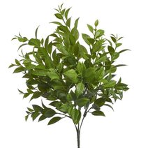 Umělý ruscus - zelená 36 cm