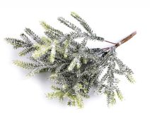 Flokované jehličí svazek 6 kusů - zelená