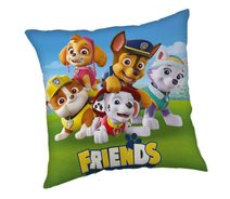 Polštářek Paw Patrol Friends Polyester, 40/40 cm