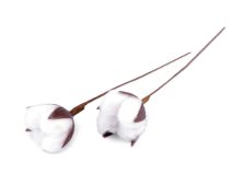 Umělý květ bavlníku 2 kusy