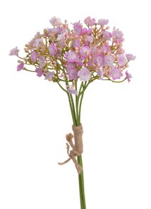 Gypsophila - šater fialovorůžová - 29cm