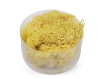 Stabilizovaný / preparovaný mech 20 g v krabičce