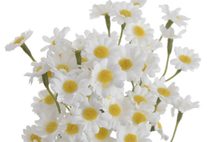 Umělý heřmánek svazek 6 ks