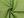 Bavlněná látka jednobarevná hrubší šíře 150 cm (26 (30) zelená trávová)