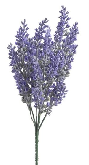 Levandule: Královna vůní, klidu a krásy – i u vás doma