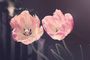 Důvody, proč si koupit umělé květiny pro jarní výzdobu