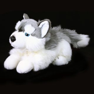 Plyšový pes husky ležící 30 cm