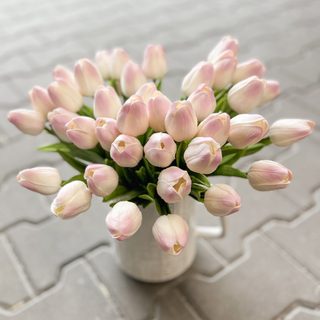 Tulipán pěnový 5 ks - bílá/růžová