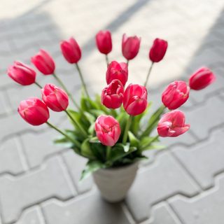 Tulipán 40 cm - červenorůžová