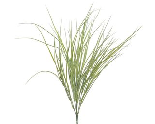 Tráva dracéna 54 cm - sv. zelená