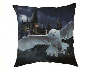 Polštářek Harry Potter Hogwarts 01 40x40 cm