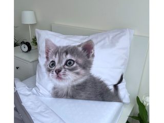 Povlečení Kitten grey 140x200, 70x90 cm