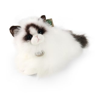 Plyšová kočka ragdoll ležící 35 cm