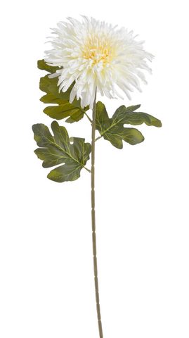 Chryzantéma 72 cm - bílá krémová