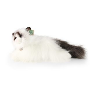 Plyšová kočka ragdoll ležící 35 cm