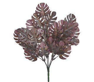 Monstera trs 35 cm - vínová