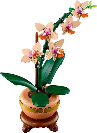 LEGO Botanicals  Miniaturní orchidej 10343