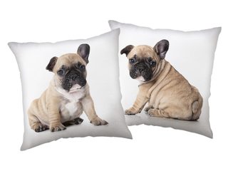 Polštářek Bulldog 40x40 cm