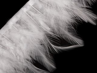 Prýmek - kohoutí peří 7-12 cm METRÁŽ