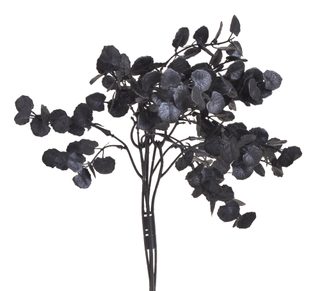 Eukalyptus trs 5 větviček – černý, 40 cm