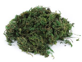 Dekorační přírodní mech 250 g