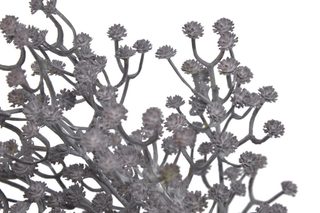 Gypsophila 29 cm - fialovošedá tmavá