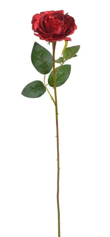 Růžička 52 cm - červená