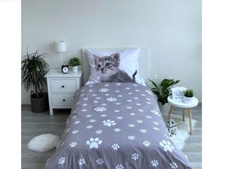 Povlečení Kitten grey 140x200, 70x90 cm