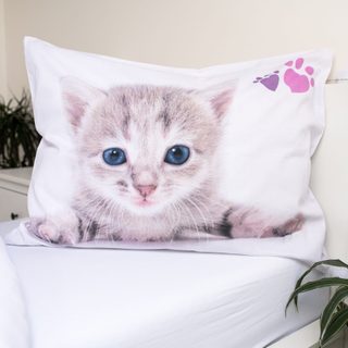 Povlečení fototisk Kitten colour 140x200, 70x90 cm