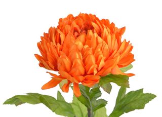 Chryzantéma 58 cm - oranžová