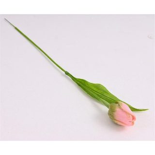 Umělý tulipán růžovozelený 371309-05 - 4 x 5 x 43 cm