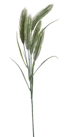 Umělé obilí 84 cm - zelená