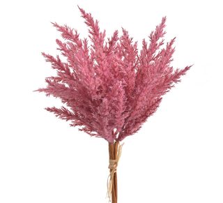 Čechrava 38 cm - starorůžová