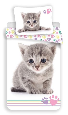 Povlečení fototisk Kitten colour 140x200, 70x90 cm