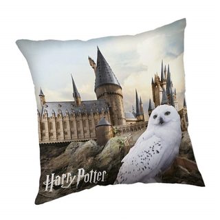 Polštářek Harry Potter Hedwig 02 40x40 cm