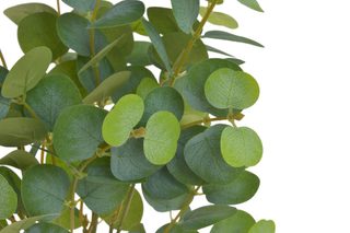 Umělý eukalyptus trs - zelená 48 cm