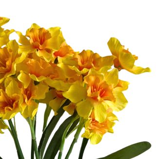 Narcis trs 7 větviček - žlutá/oranžový střed