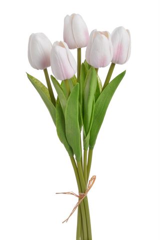 Tulipán pěnový (5 ks) - bílá/růžová 30 cm
