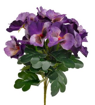 Macešky trs - fialová 30 cm