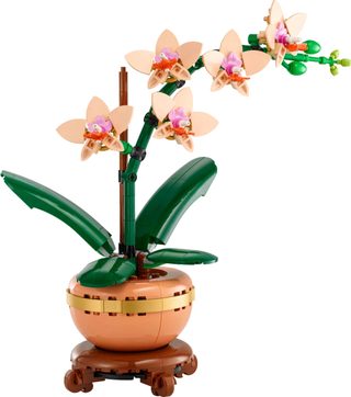 LEGO Botanicals  Miniaturní orchidej 10343
