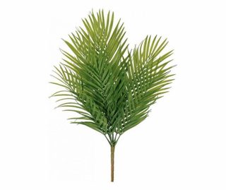 Palmové listy trs 60 cm