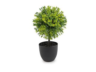 Umělý buxus v květináči