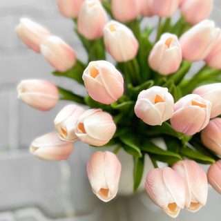 Tulipán pěnový (5 ks) - růžová/bílá