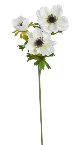 Sasanka 57 cm - bílá